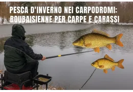 Pesca d'inverno nei carpodromi con la tecnica della roubaisienne per carpe e carassi