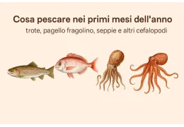 Cosa pescare nei primi mesi dell’anno: trote, pagelli fragolino, seppie e altri cefalopodi