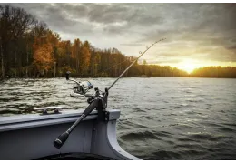 Tecnologia e Innovazione nel Settore della Pesca