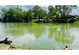L’Esperienza della Pesca: Oltre il Semplice Hobby
